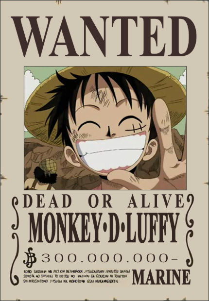 Monkey D. Luffy (Ruffy)